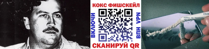 Купить закладки  Волхов  Cocaine Перу 