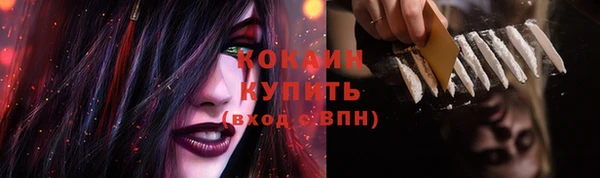 винт Бородино
