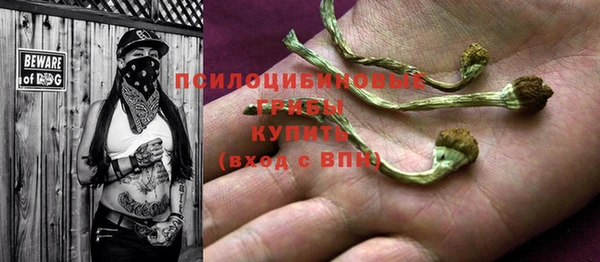 трава Бронницы